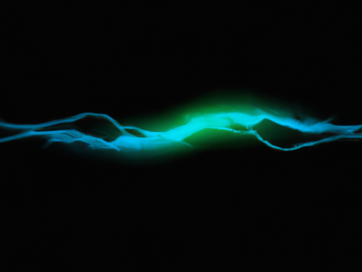 Fortifying Privacy in the AI Era with FHE
